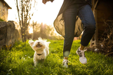 Essential Guide to Proper Pet Care: Ensuring a Happy and Healthy Pet